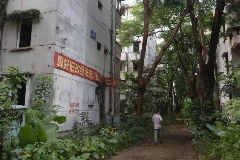 timg_副本.jpg timg_副本.jpg